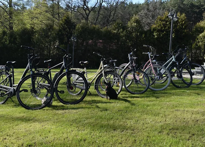 Nad Jeziorem Kazub * Cieciorka